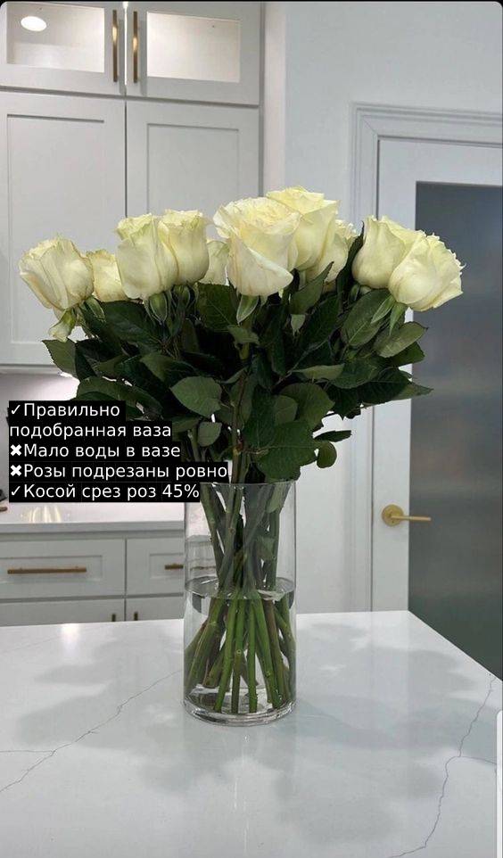 Какую вазу нужно для роз подобрать. Как ухаживать дома за букетом